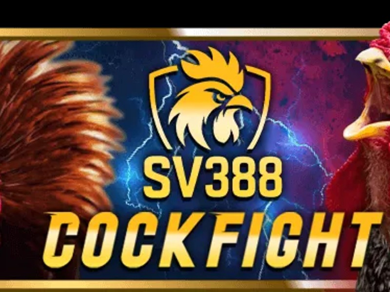 Đá Gà Hit Club.Win